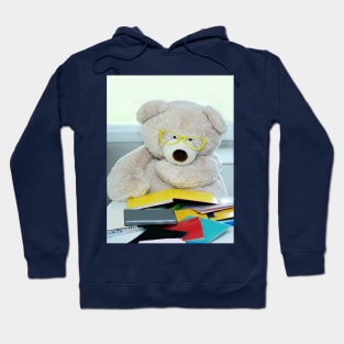 Teddy bear loves reading Hoodie